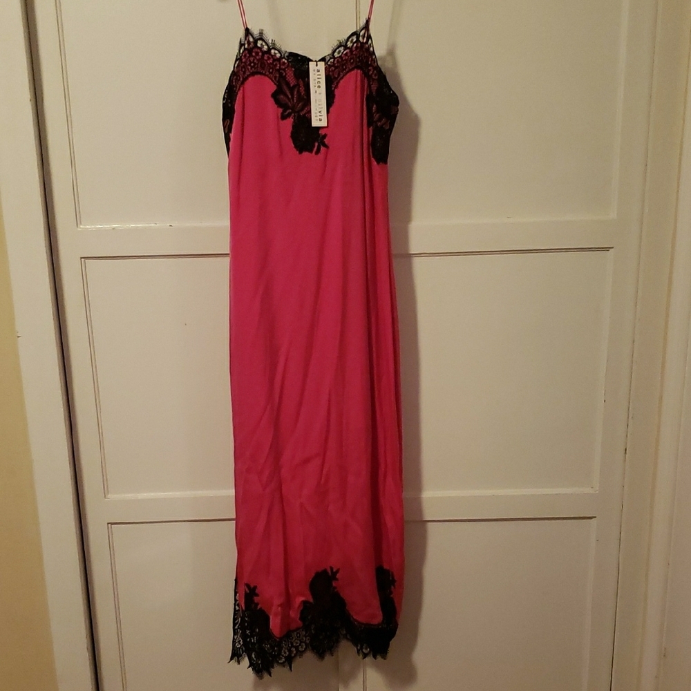 NWT Alice + Olivia Dress Pink & Black Lace